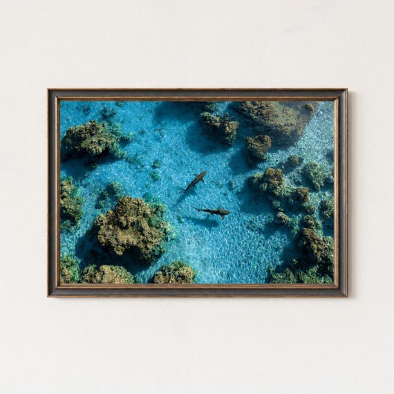 Reef Sharks Aerial Photography Tropical Ocean Wall Art Print