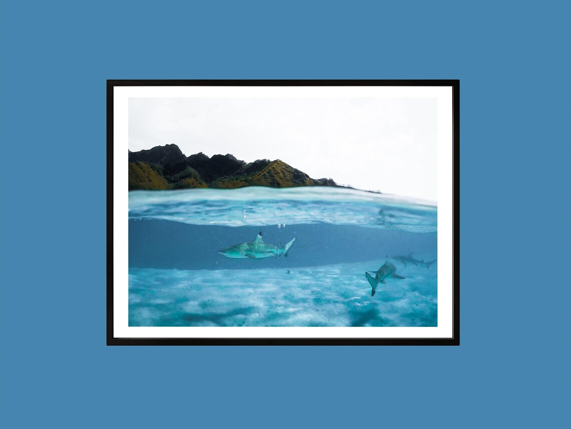 Tropical Island Split View Sharks Underwater Ocean Photo Poster