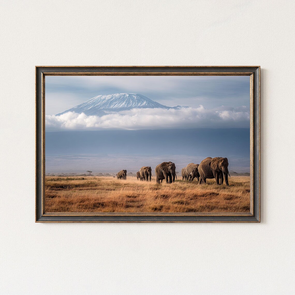 Elephants Walking Under Mount Kilimanjaro Landscape