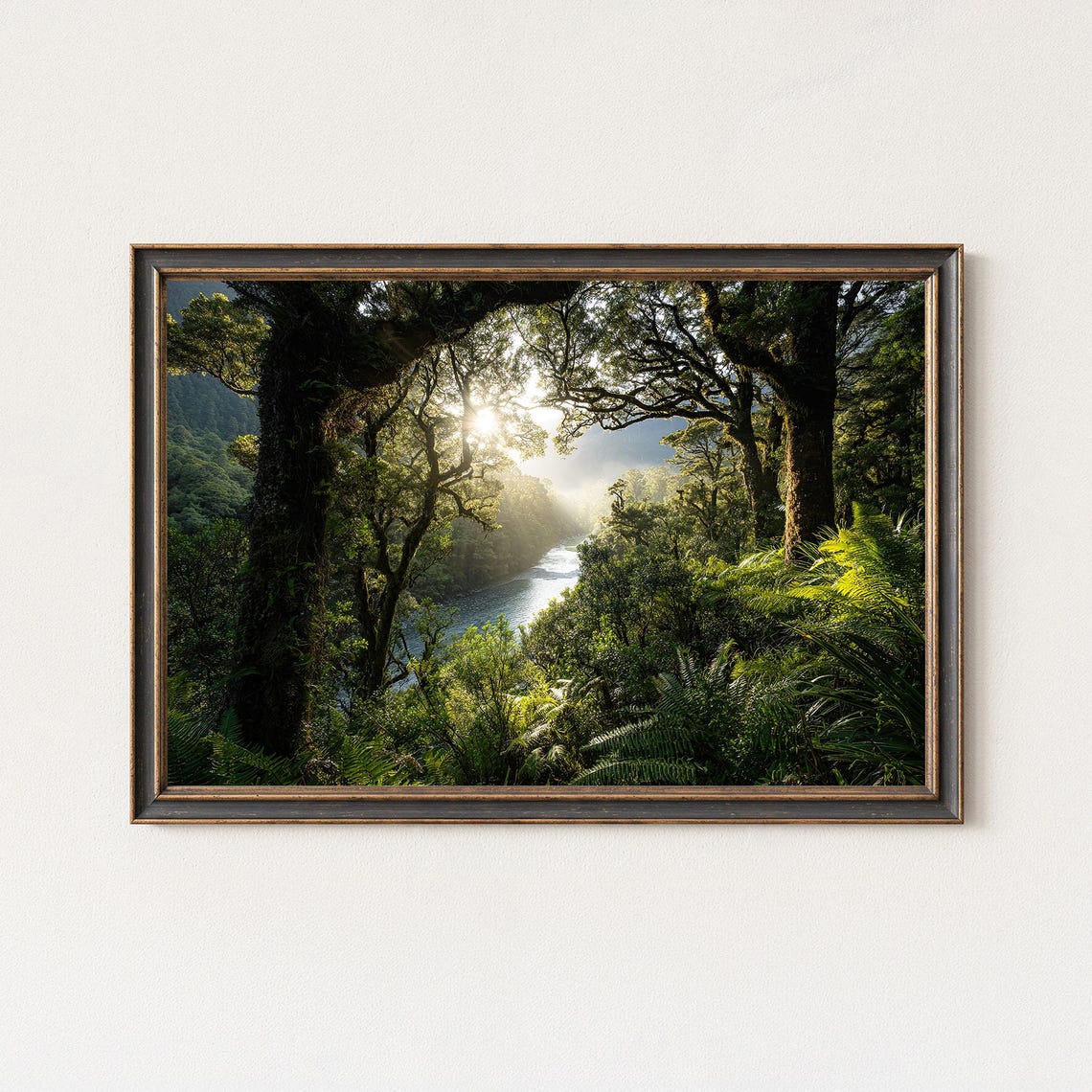 Sunlit Rainforest River Canopy Ancient Trees Landscape Art Poster
