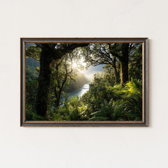 Rainforest River Sunlight Landscape Wall Art Print