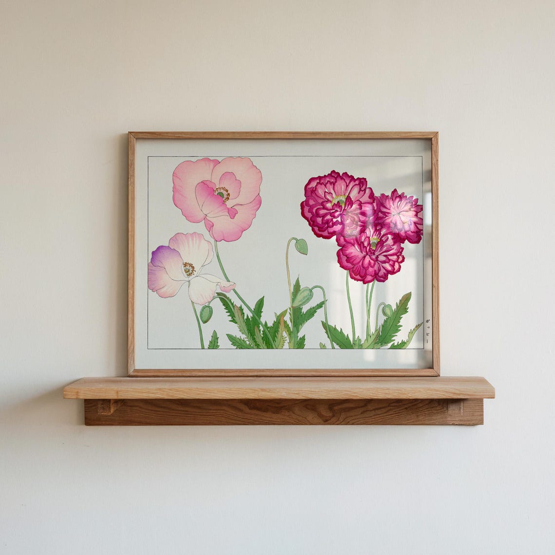 Tanigami Konan Pink Poppy Flowers Japanese Botanical Art Poster