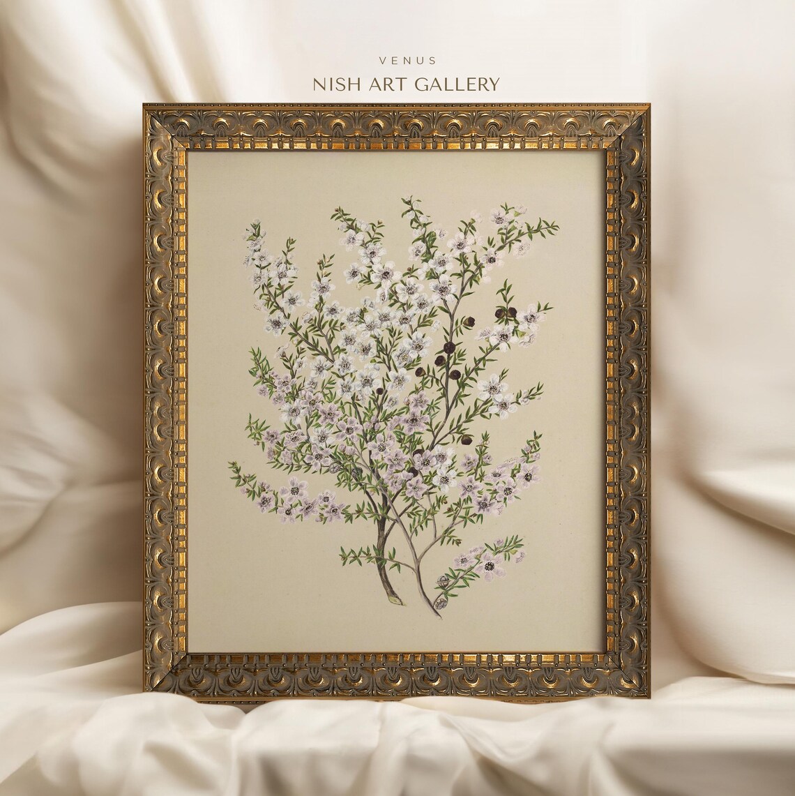 Vintage Botanical White Flowers Art Print