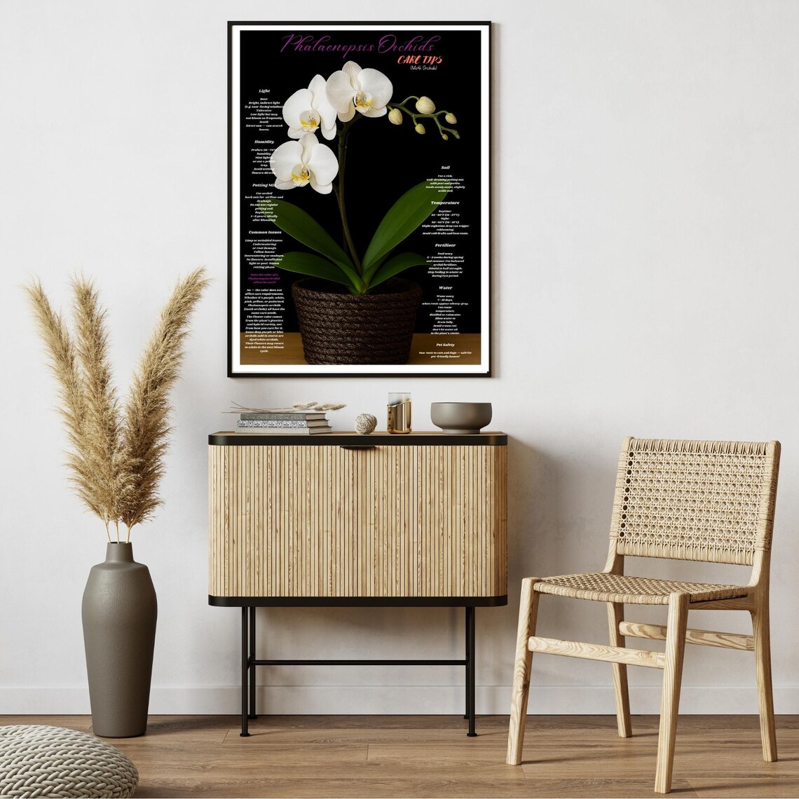 White Phalaenopsis Orchid Care Tips, Botanical Poster