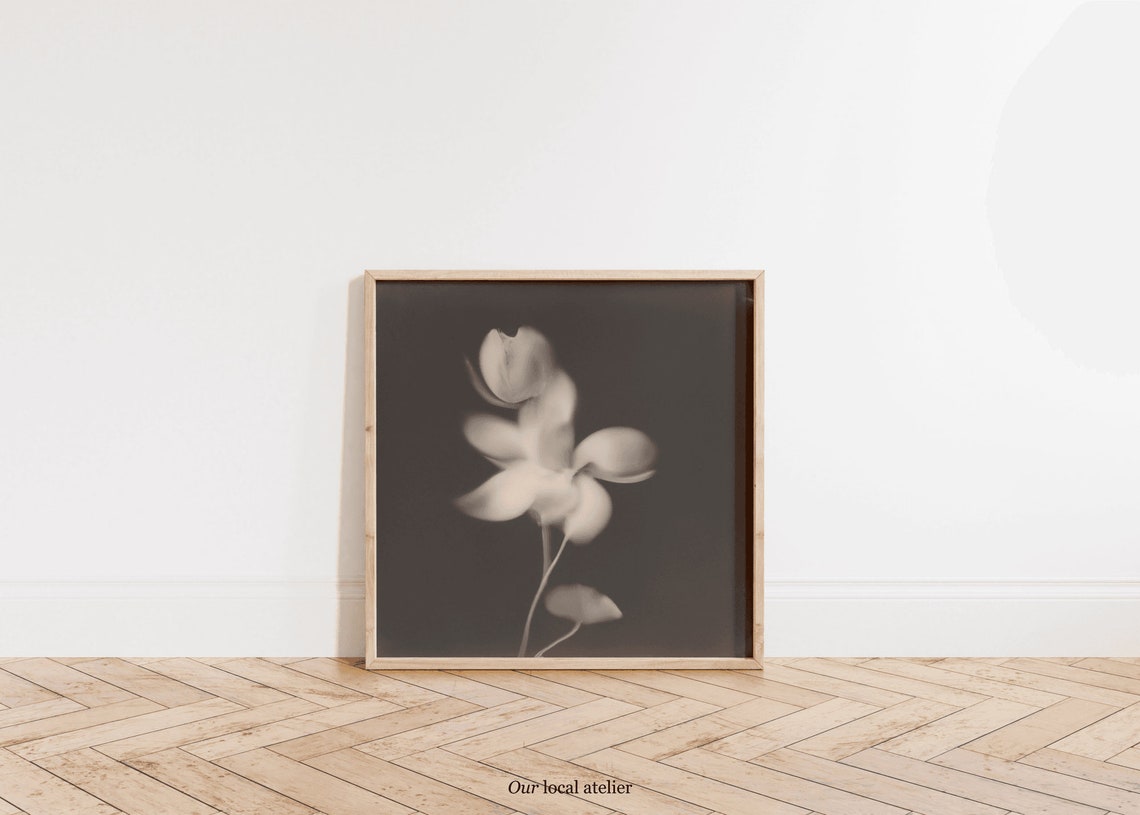 Monochrome Botanical Flower Dreamy Black White Floral Art Poster