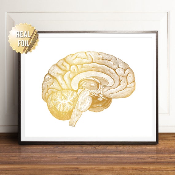 Brain Anatomy Gold Foil Art Print, Neurology Decor