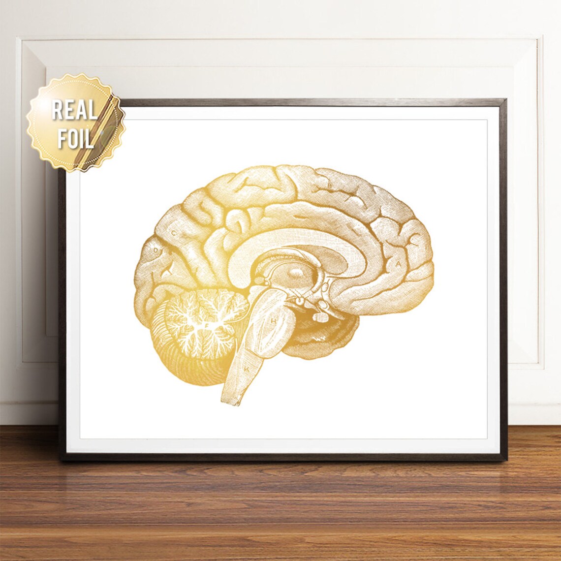 Brain Anatomy Gold Foil Art Print, Neurology Decor