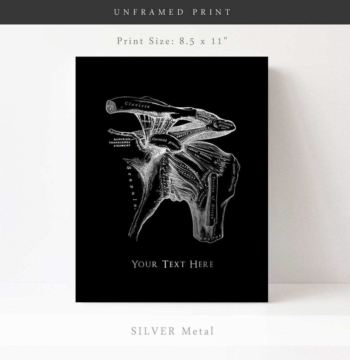 Personalized Shoulder Anatomy Gold Foil Orthopedic Surgeon Wall Print - Image 2