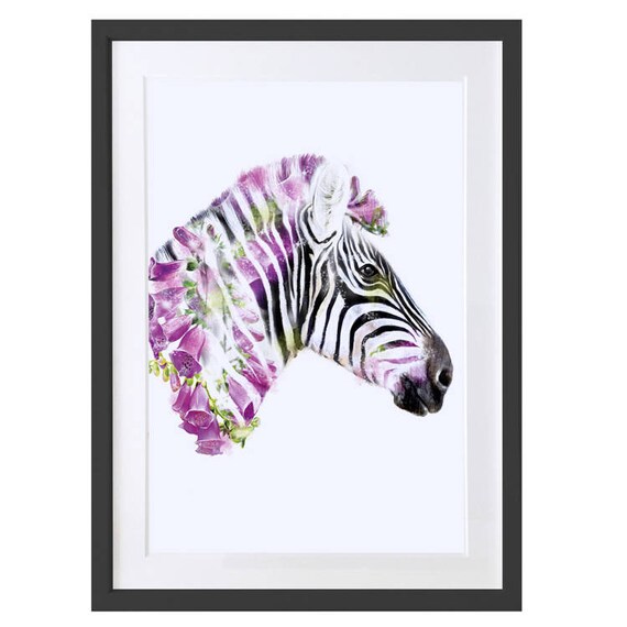 Zebra Animal Art Print