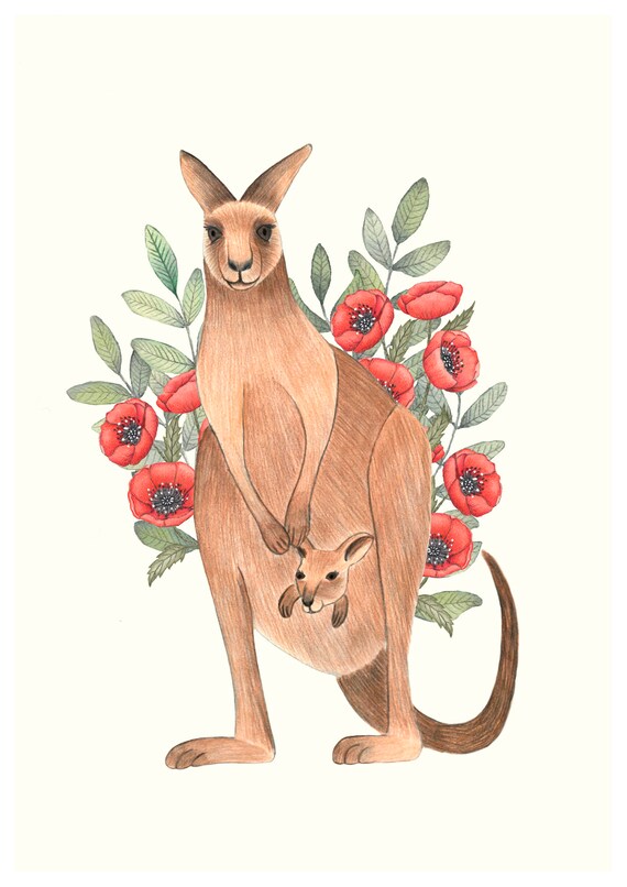 Kangaroo Mother Joey Pouch Red Poppies Watercolor Nursery Poster