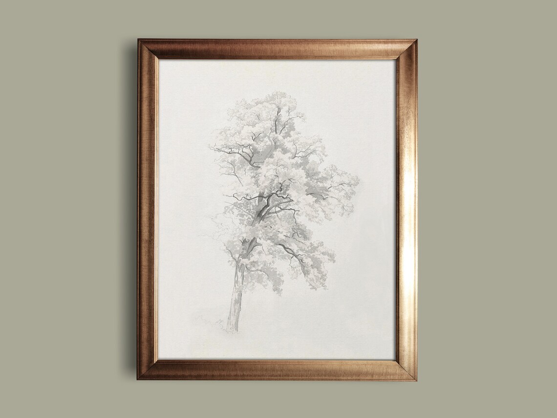 Antique Neutral Tree Sketch, Vintage Nature Drawing - Image 2
