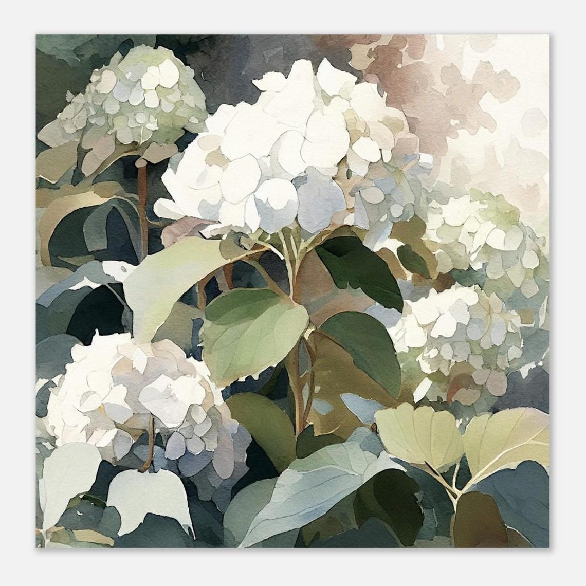 White Hydrangea Blooms Watercolor Painterly Floral Botanical Art Print - Image 3