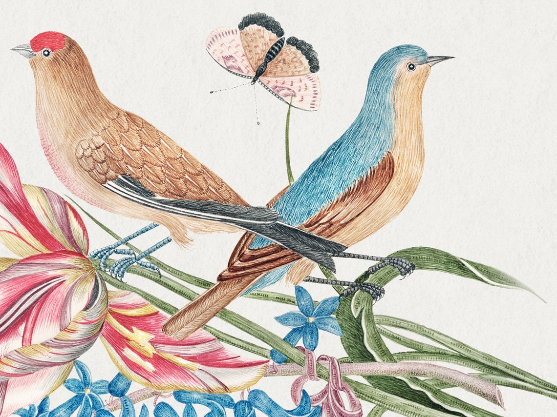 Two Songbirds Tulips Hyacinths Vintage Bird Illustration Antique Print - Image 3