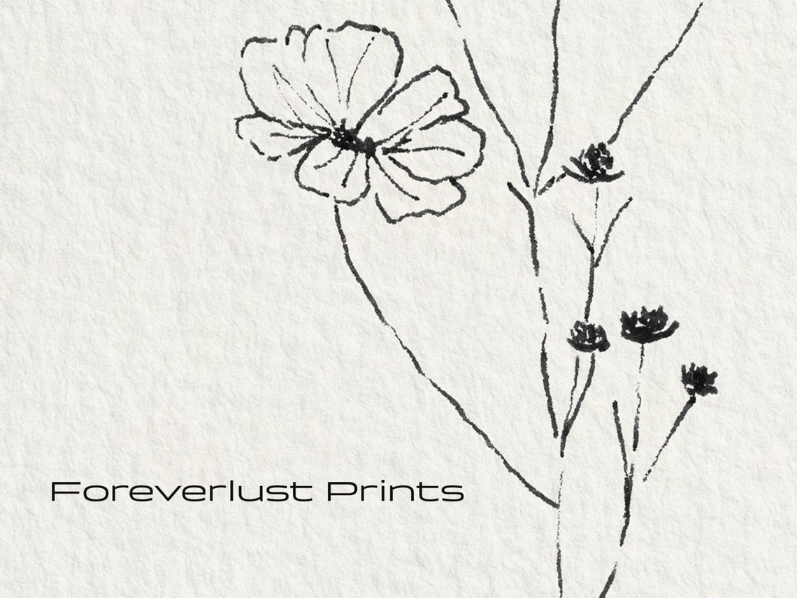 Minimalist Cosmos Wildflowers Black Ink Line Sketch Wall Art Print - Image 2