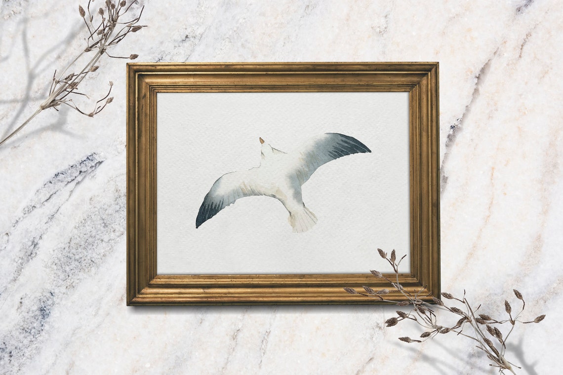 Seagull In Flight Minimalist Watercolor Coastal Bird Art Poster