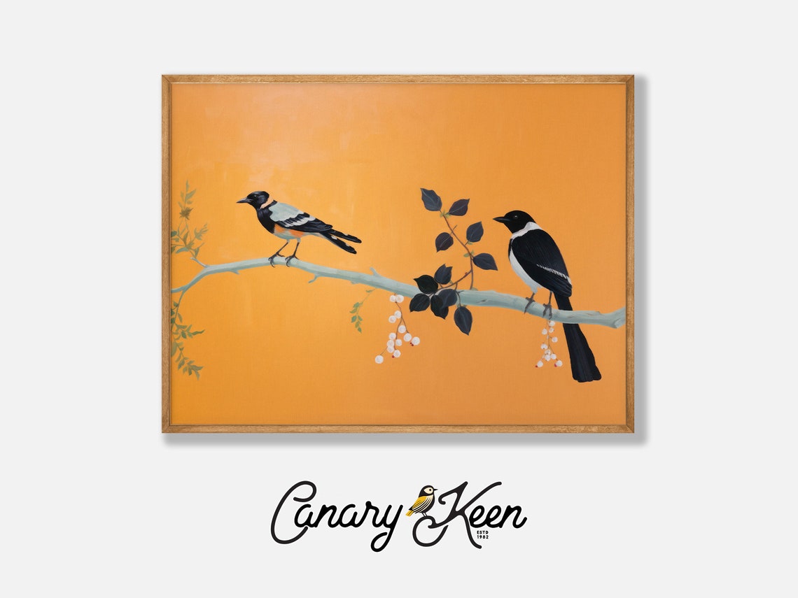 Two Magpie Songbirds On Branch Orange Background Wildlife Art Poster