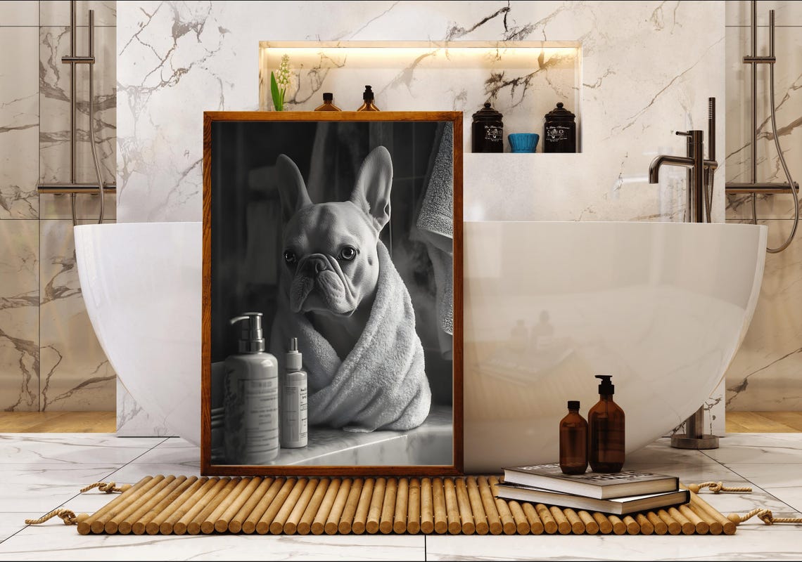 French Bulldog Wrapped In A Towel After A Bath Black White Poster - Image 5