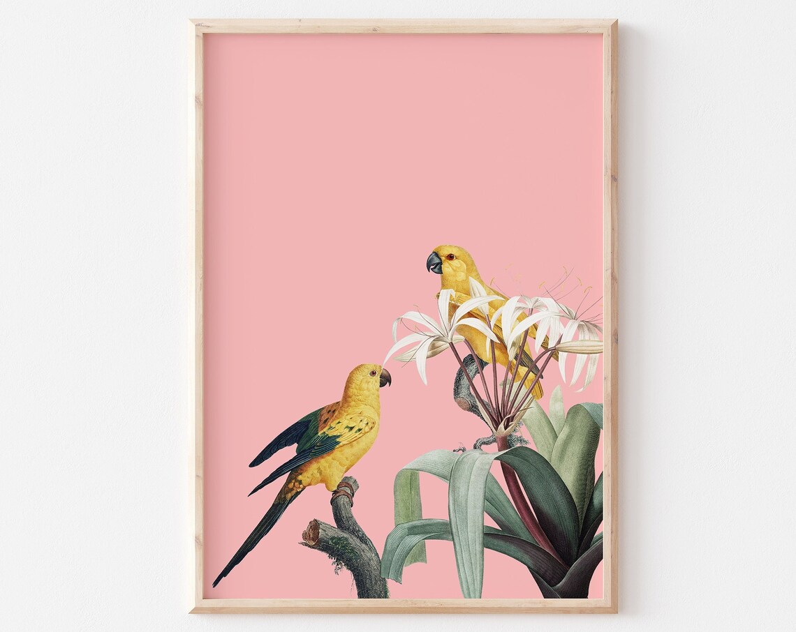Vintage Yellow Parrots with White Flowers on Pink Art Poster