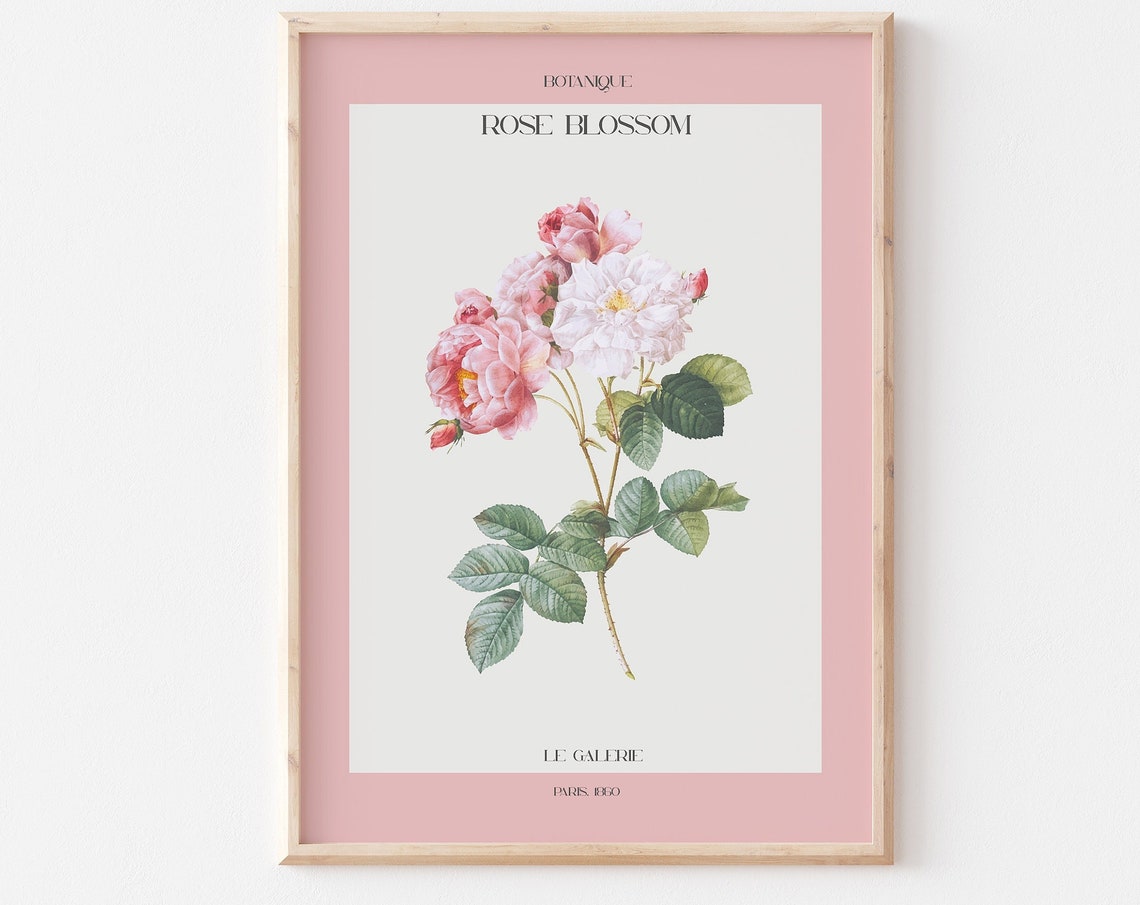Botanique Rose Blossom Vintage Botanical Pink Gallery Poster - Image 2