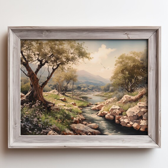 Countryside Rocky Riverbed Stream Olive Trees Distant Peaks Poster