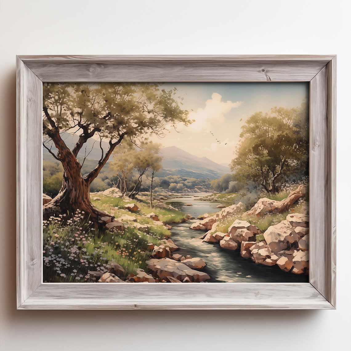 Countryside Rocky Riverbed Stream Olive Trees Distant Peaks Poster