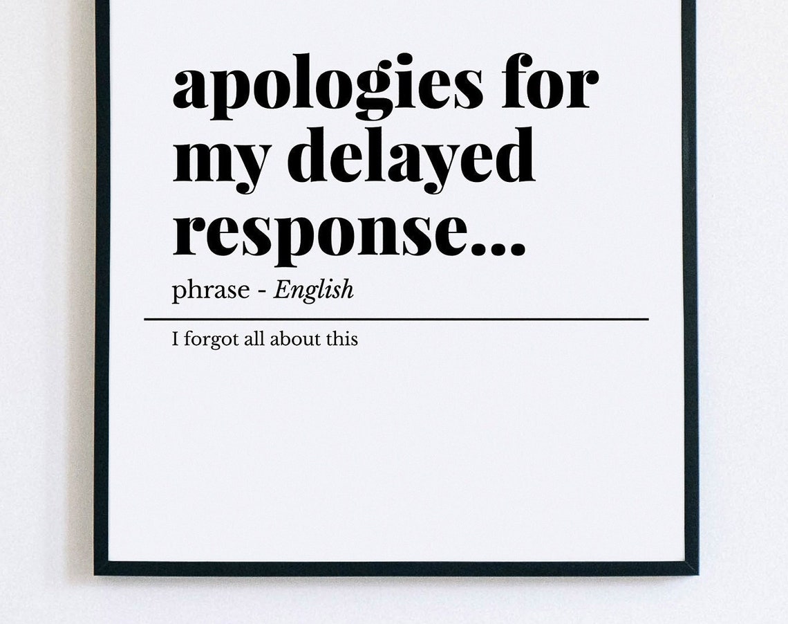 Apologies for My Delayed Response Funny Office Definition Poster