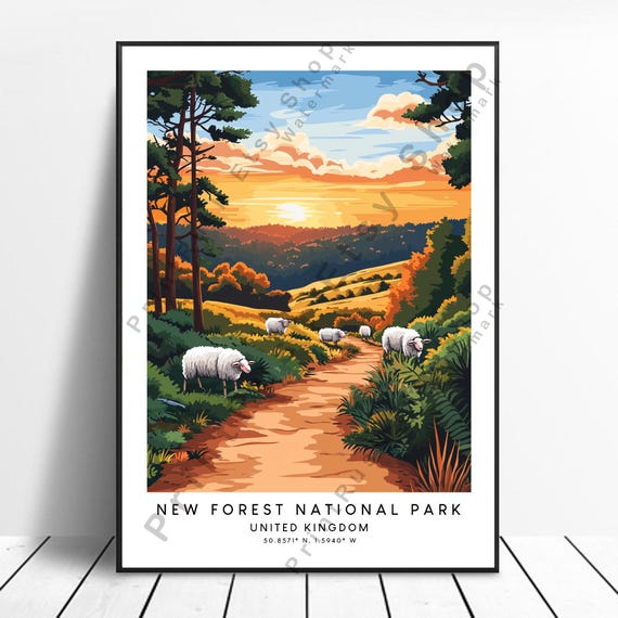 New Forest National Park Print Colourful Wall Poster Art Gift Illustration
