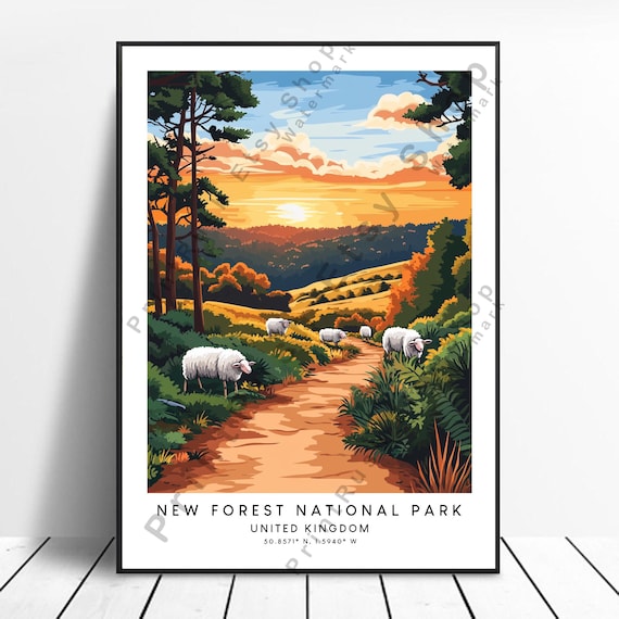 New Forest National Park Sheep Sunset Colorful England Travel Poster