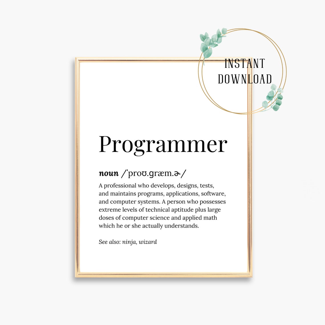Programmer Ninja Wizard Dictionary Definition Graduation Gift Poster - Image 3