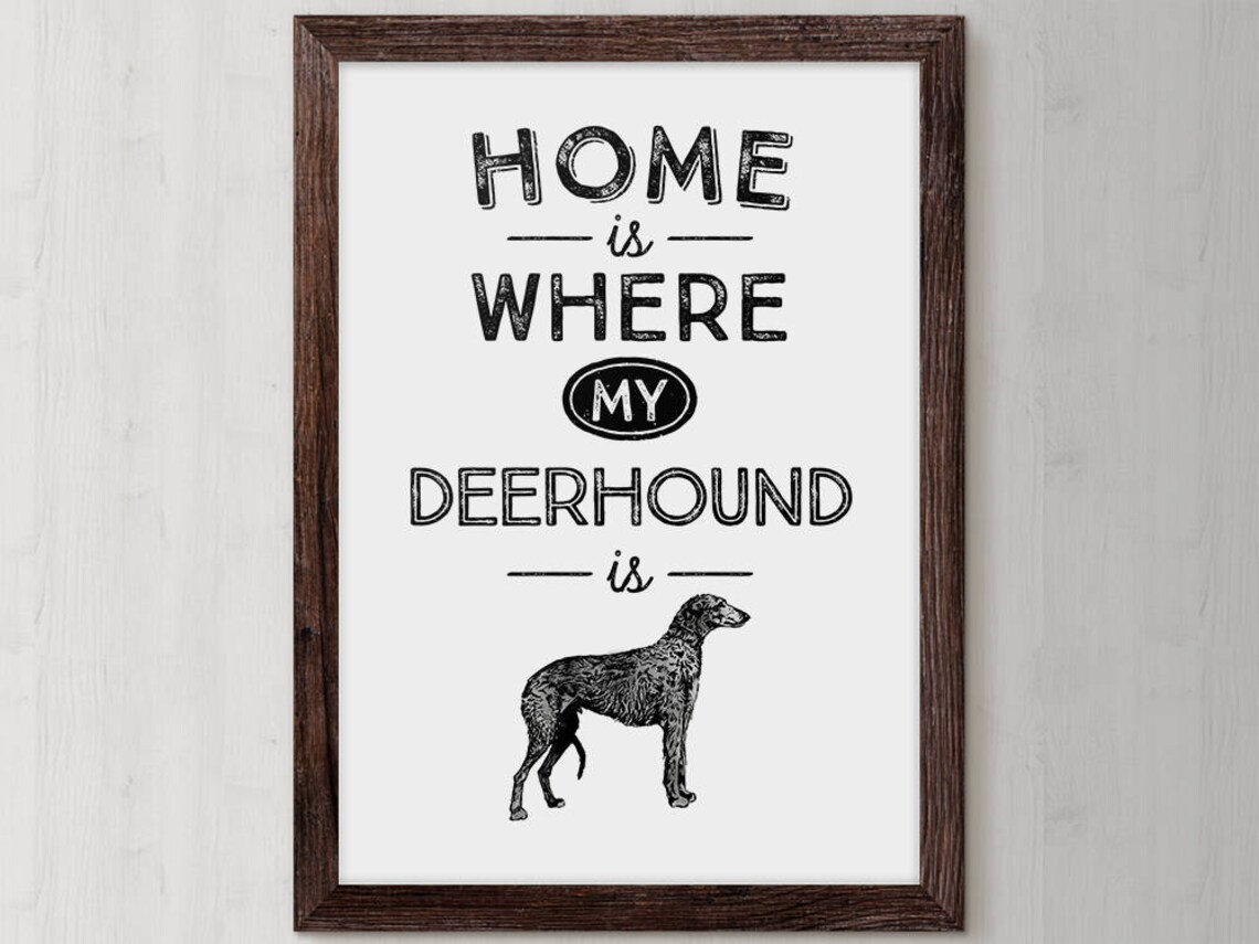 Deerhound Dog Quote Home Is Where My Deerhound Is Art Poster