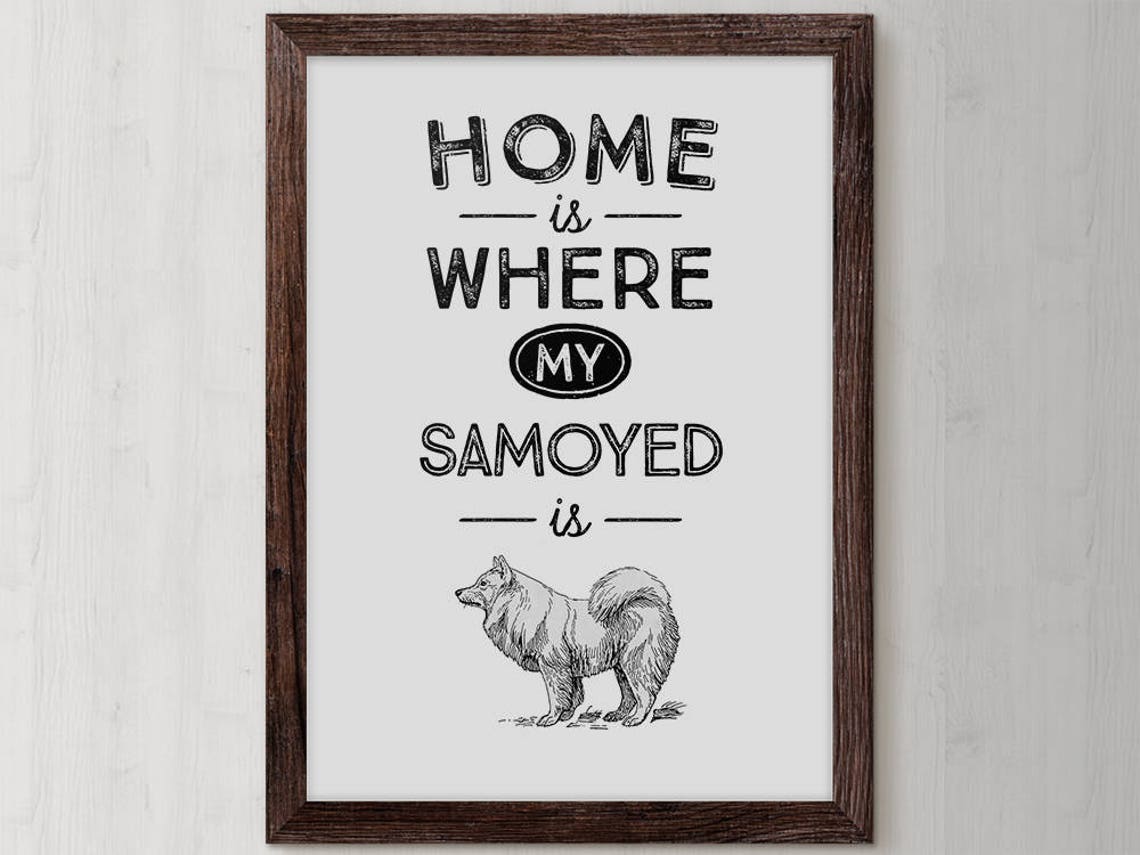 Home Is Where My Samoyed Is Samoyed Dog Quote Poster for Owners