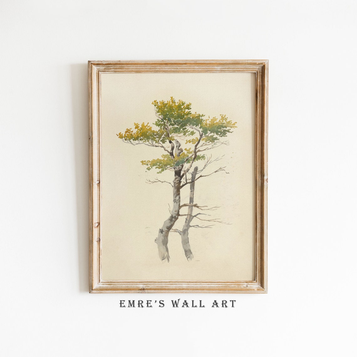Lone Tree Watercolor Sketch Delicate Botanical Drawing Wall Art