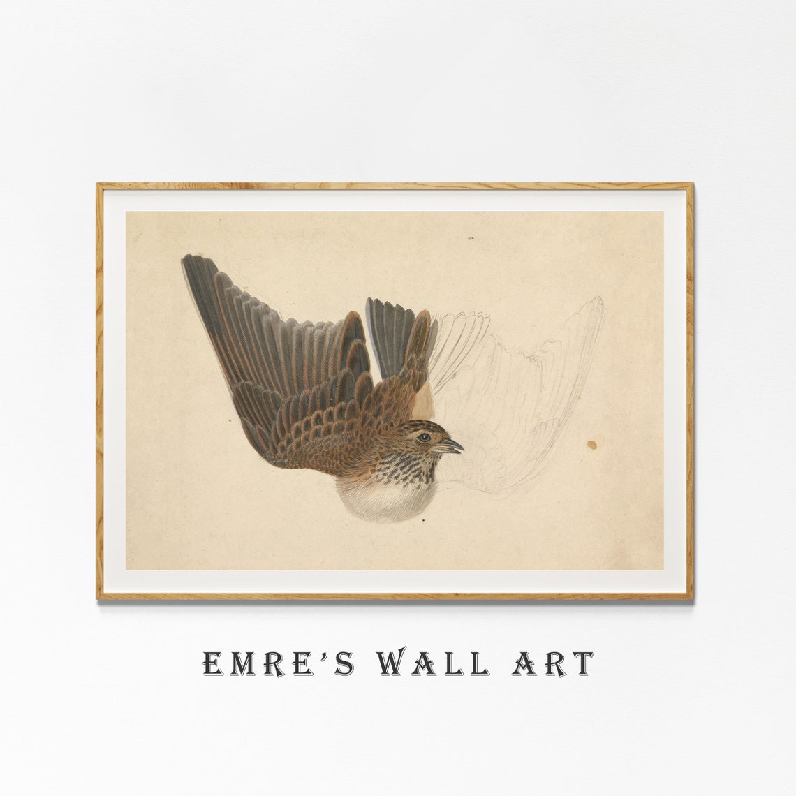 Bird Sketch Art Print Vintage Country Bird Print Neutral Farmhouse Wall Decor Vintage Farmhouse Bird Print Antique Sketch Drawing Art - Image 4