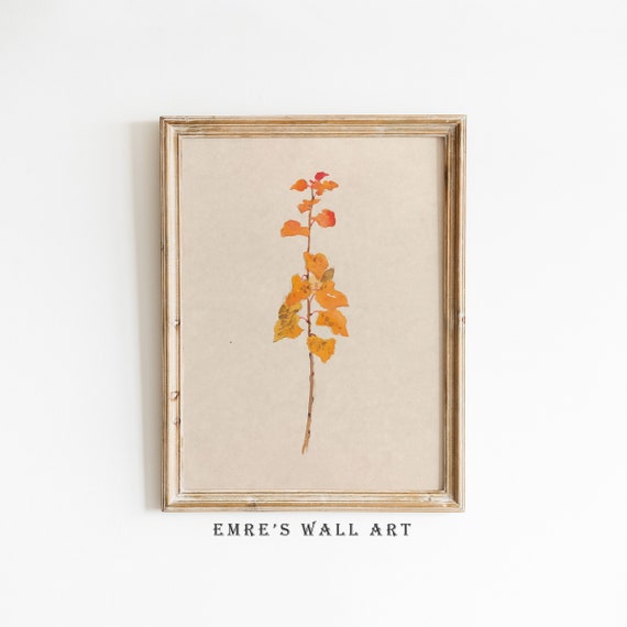 Antique Botanical Print, Rustic Farmhouse Decor