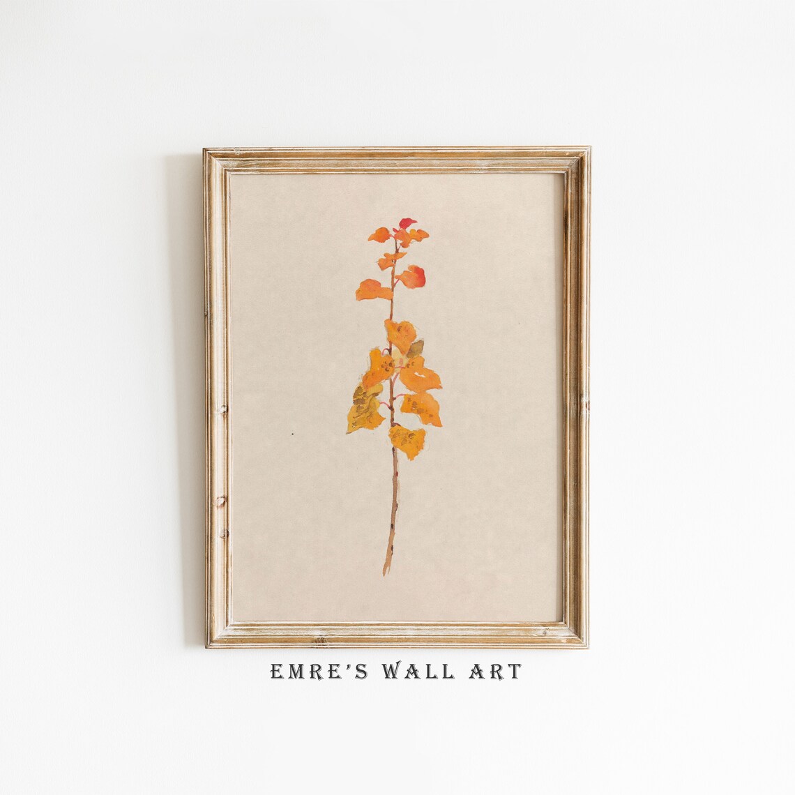 Antique Botanical Print, Rustic Farmhouse Decor