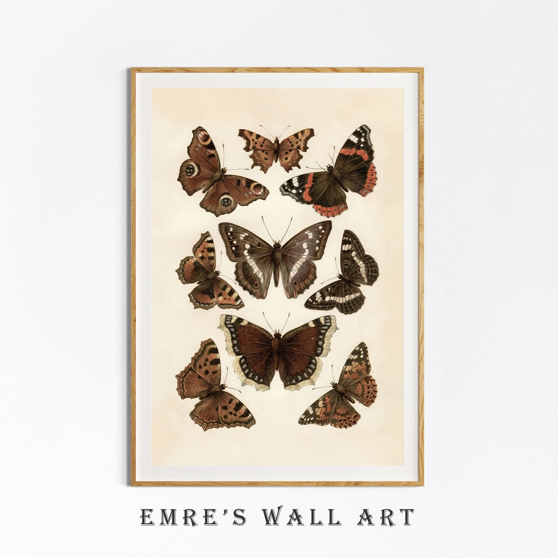 Vintage Butterfly Drawing, Rustic Farmhouse Art Print - Image 4