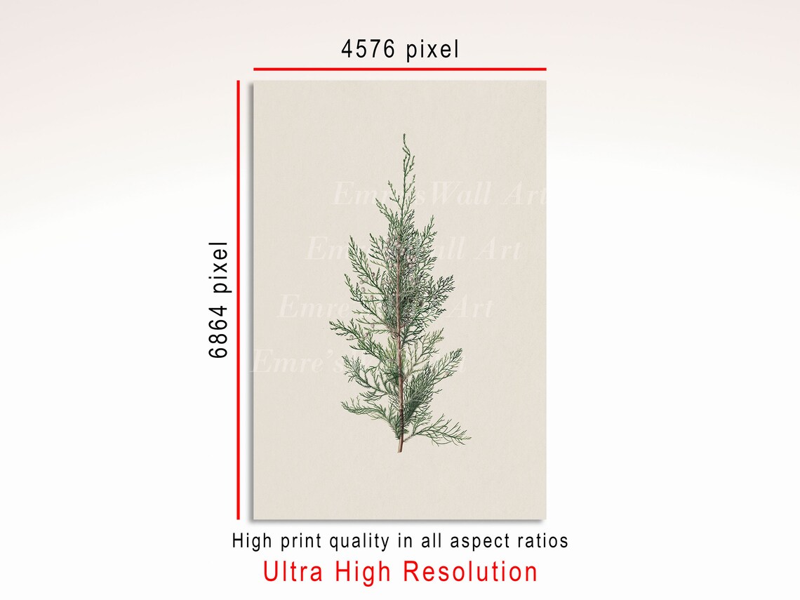 Vintage Tree Branch Art Print, Winter Botanical - Image 3
