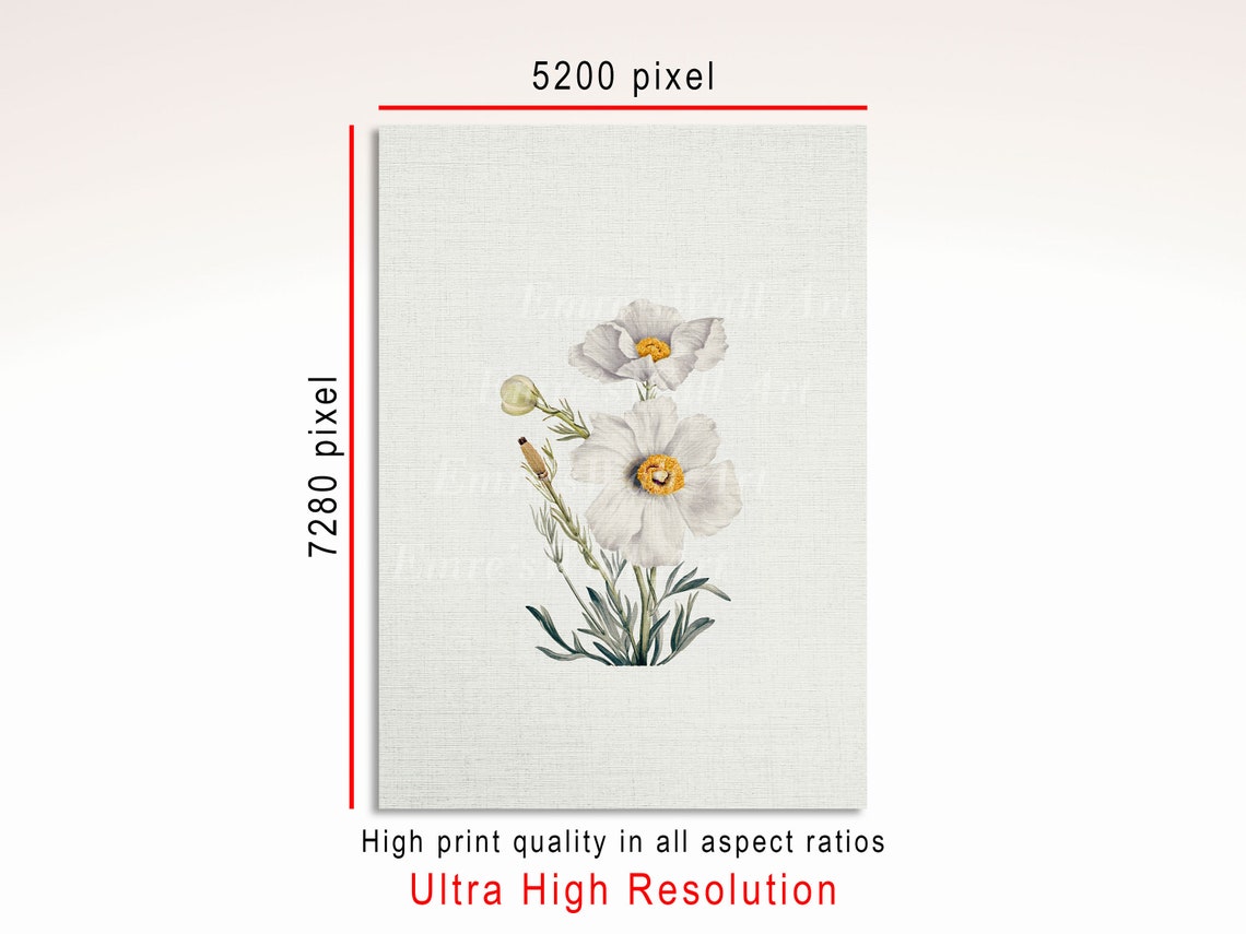 White Wildflower Botanical Painting Vintage Neutral Flower Poster - Image 3