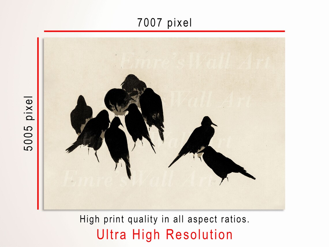 Vintage Bird Crow Art Print, Bird Sketch - Image 3