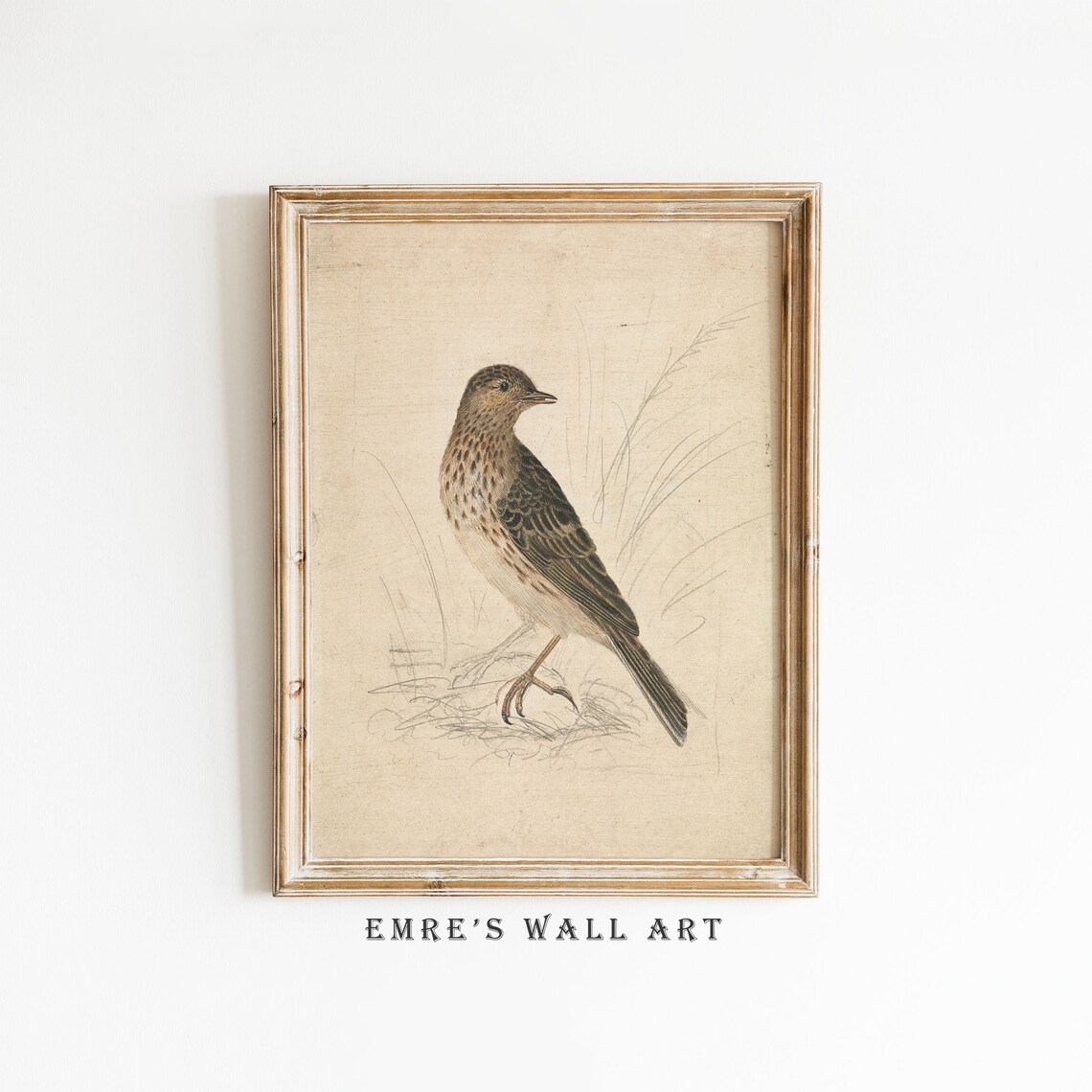 Vintage Bird Art Print, Neutral Farmhouse Decor