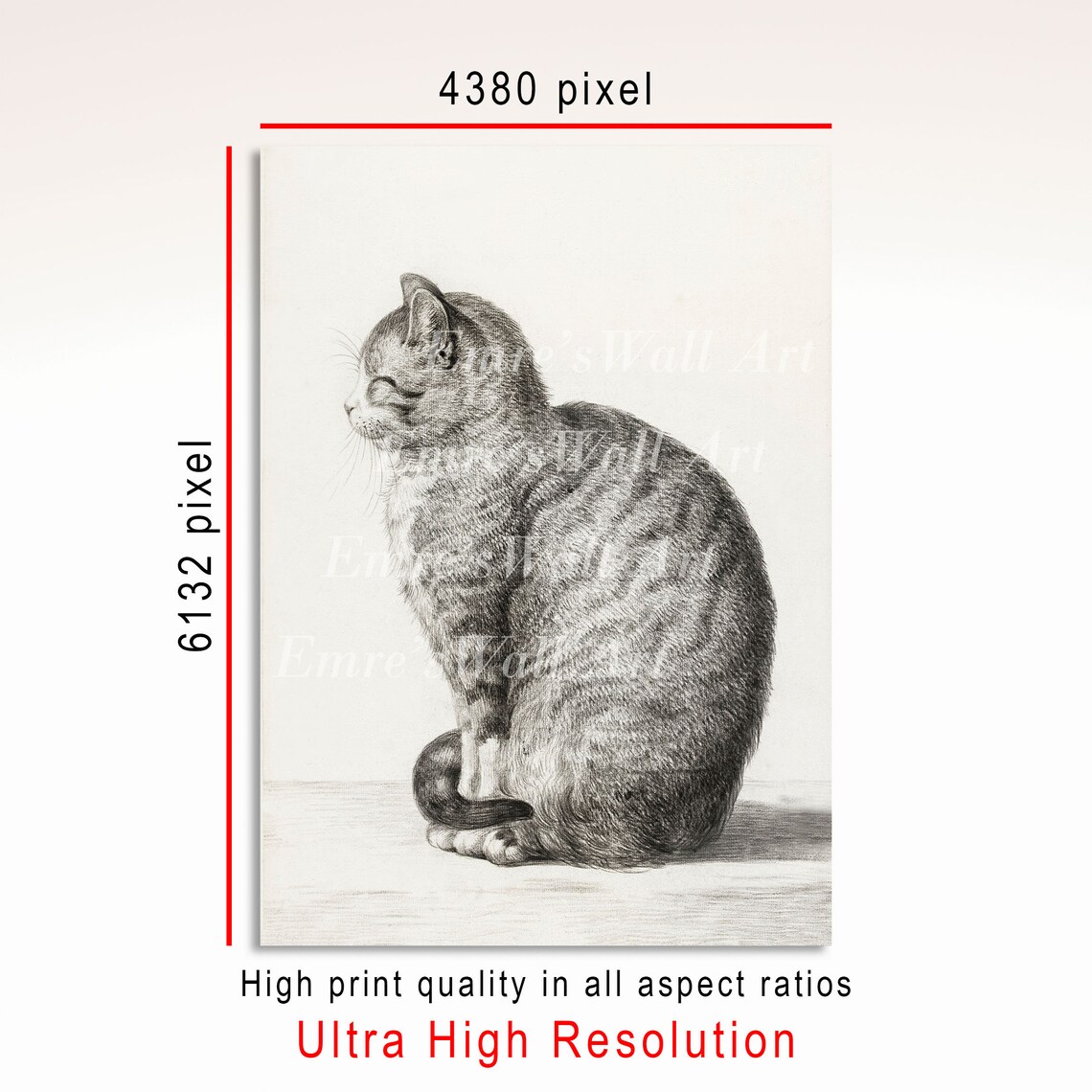 Vintage Cat Sketch Art Print, Antique Drawing - Image 3