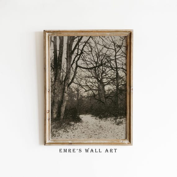 Vintage Woodland Drawing Art Print Antique Forest Wall Art Rustic Black And White Home Decor Aesthetic Artwork