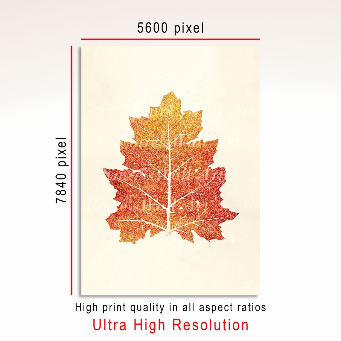 Red Autumn Maple Leaf Botanical Art Vintage Fall Design Poster - Image 3