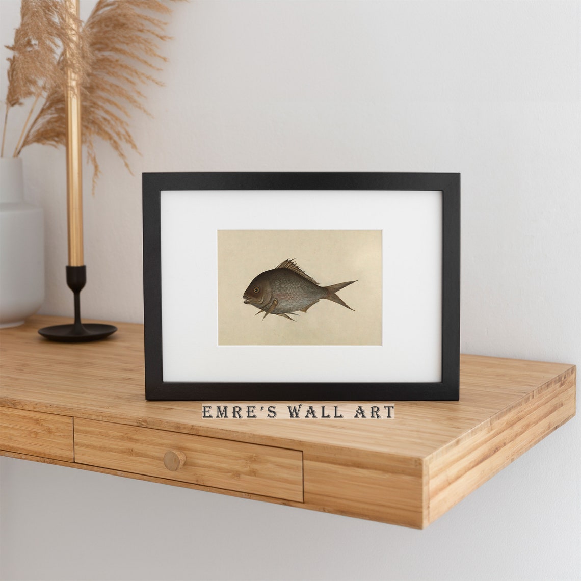 Vintage Scientific Fish Illustration Marine Study Art Poster - Image 2