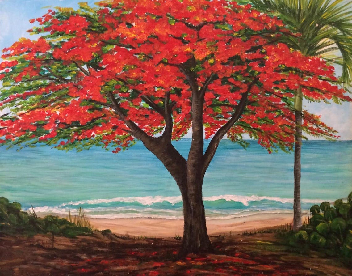 Red Flamboyant Tree Bloom Tropical Beach Ocean Scene Travel Poster - Image 5
