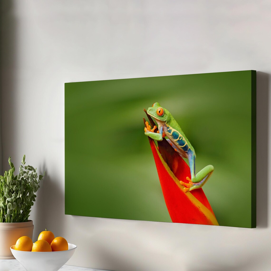 Red Eyed Tree Frog On Tropical Leaf Nature Photography Poster