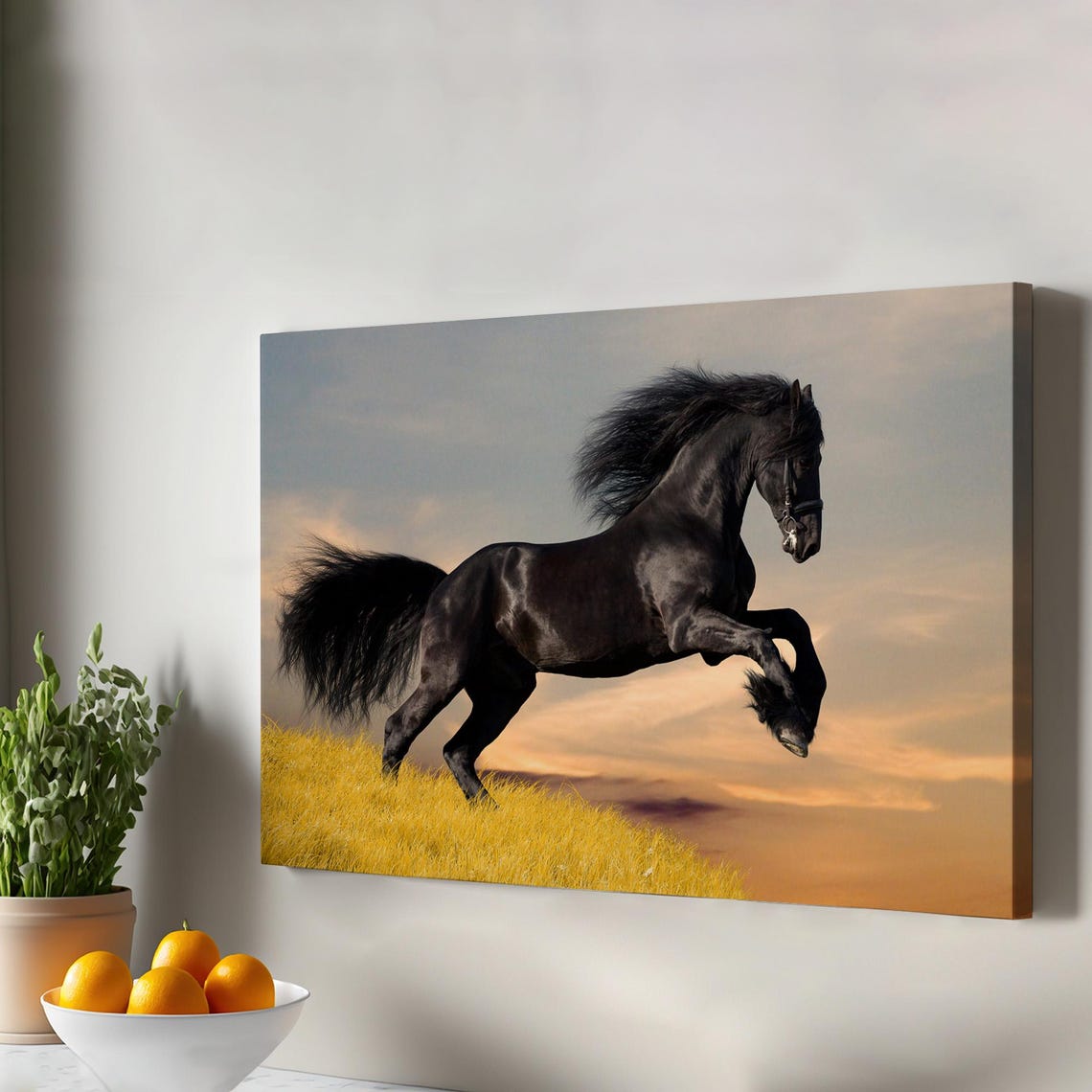 Black Rearing Horse Golden Sunset Field Majestic Stallion Poster
