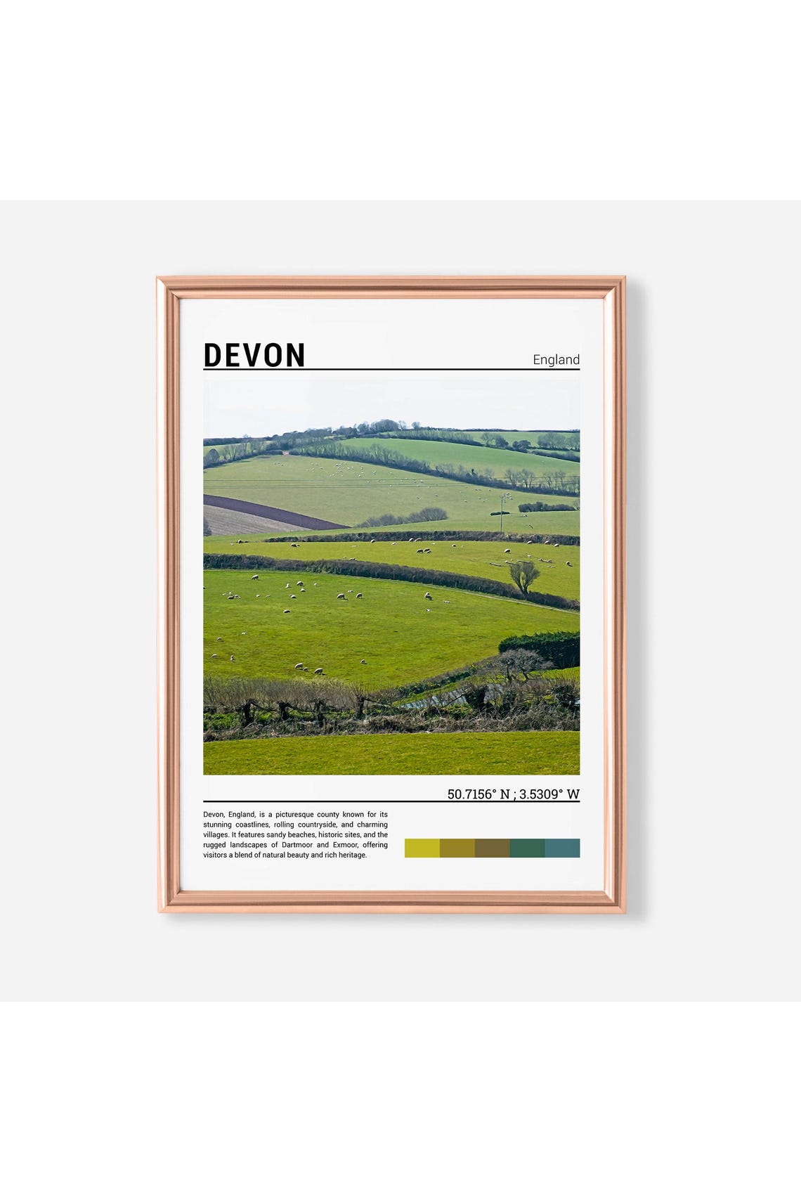 Devon England Rolling Green Hills Sheep Pasture Countryside Poster