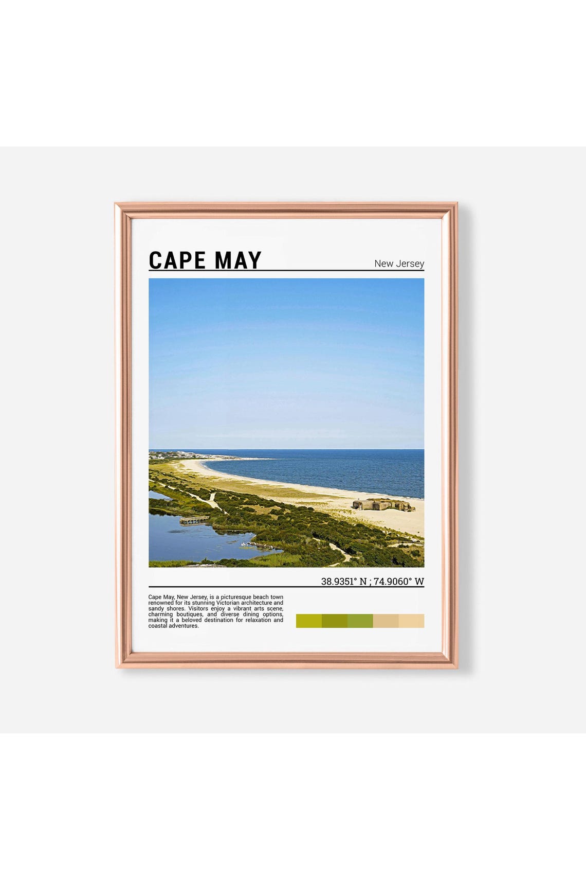 Cape May New Jersey Coastal Sandy Beach Dunes Aerial Photo Poster