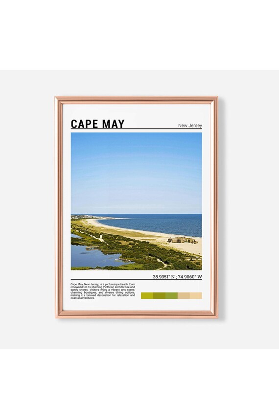 Cape May New Jersey Coastal Sandy Beach Dunes Aerial Photo Poster